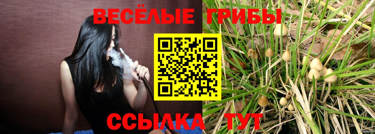Галлюциногенные грибы мицелий  что такое   Советская Гавань  Галлюциногенные грибы прущие грибы  Вход с VPN 