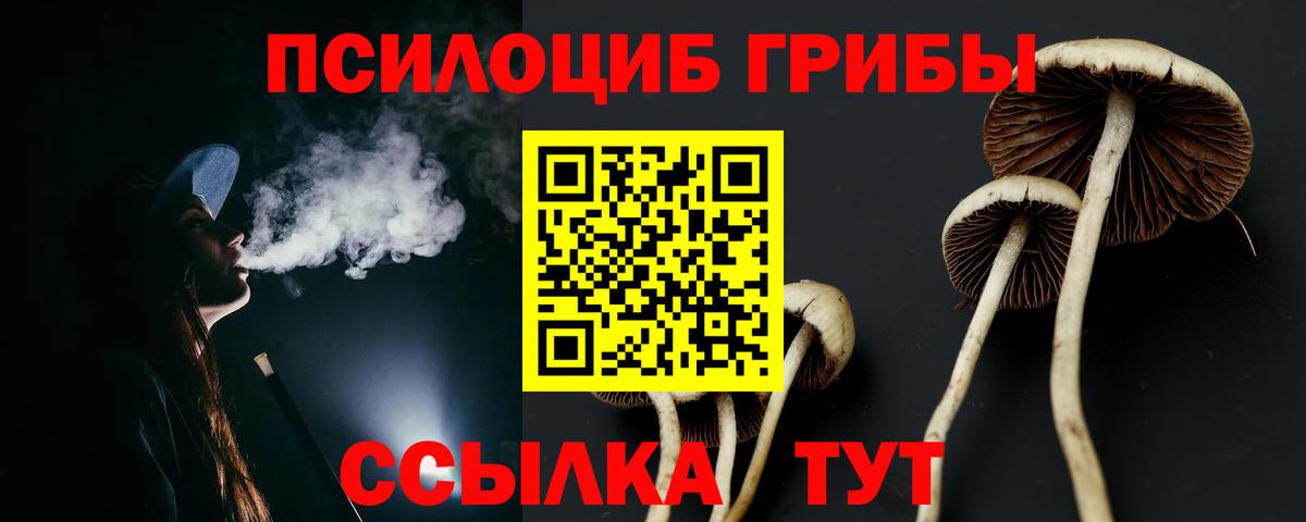 Псилоцибиновые грибы Psilocybe Советская Гавань